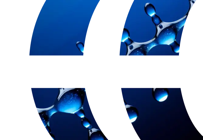 Partners ecosystem